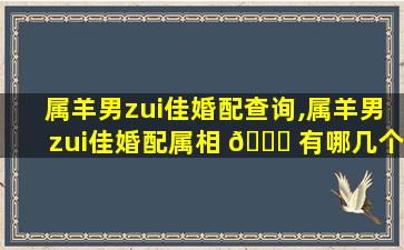 属羊男zui
佳婚配查询,属羊男zui
佳婚配属相 🍁 有哪几个